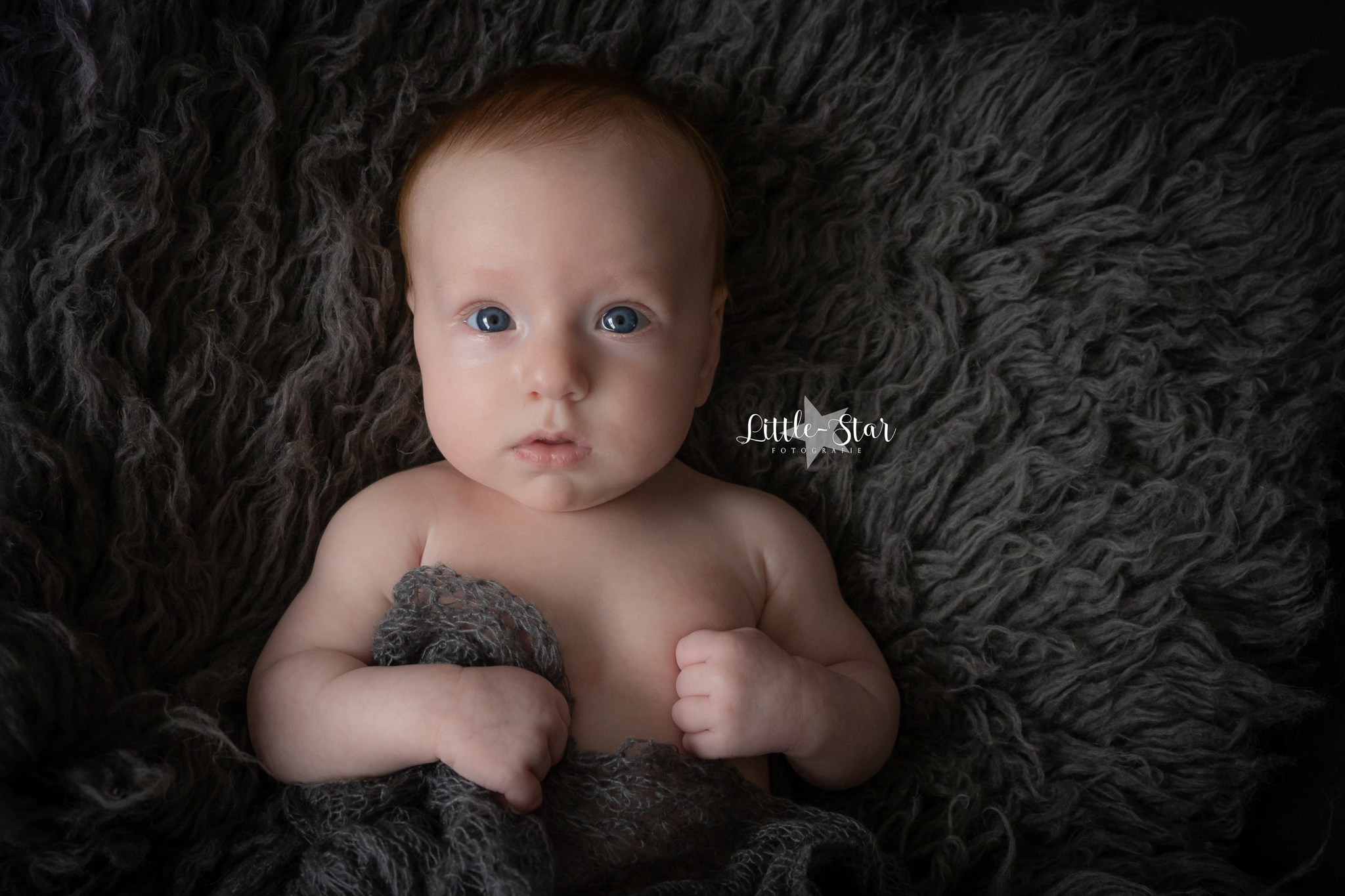 Welp Fotograaf Roosendaal Sint Willebrord Essen baby fotoshoot 3 maanden CF-11